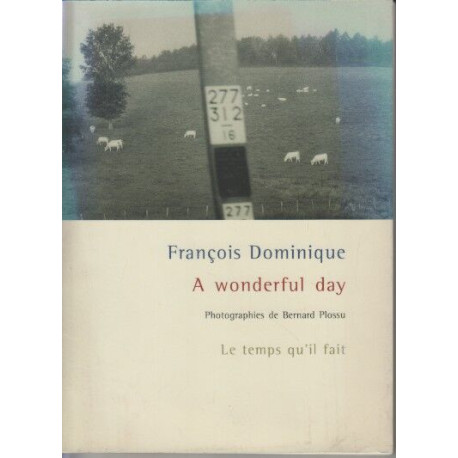 A wonderful day