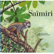 Saïmiri