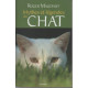 Mythes et légendes du chat