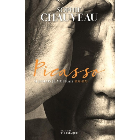 Picasso - tome 2 (2): Si jamais je mourrais 1938-1973