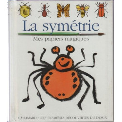 La symétrie: Je dessine avec un pinceau et de l'eau