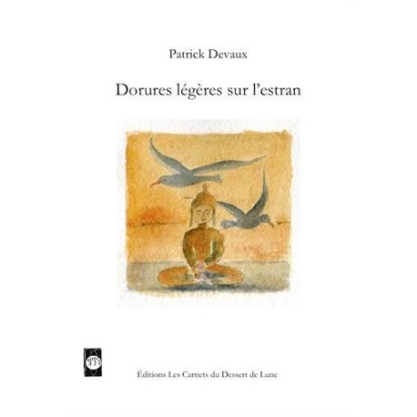 Dorures légères sur l'estran