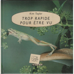 Trop rapide pour être vu