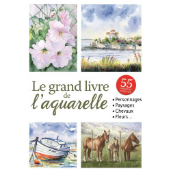 GRAND LIVRE DE L'AQUARELLE (LE)