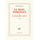 Le train d'Erlingen ou La métamorphose de Dieu: Roman (Nrf)