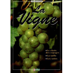 La vigne