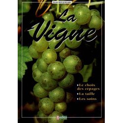 La vigne