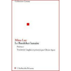 Le Baedeker lunaire poémes 1