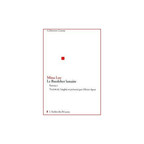 Le Baedeker lunaire poémes 1