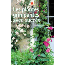 Les Plantes Grimpantes Avec Succes