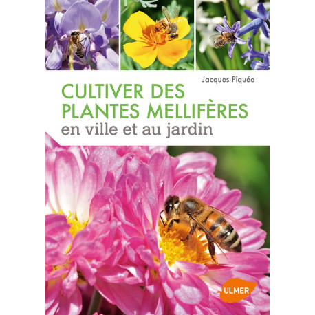 Cultiver des plantes mellifères en ville et au jardin