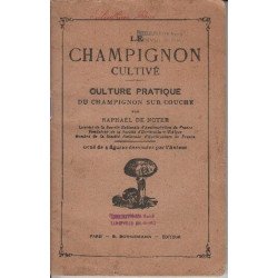 Le champignon cultive