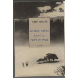 Grande ourse dans la nuit d'hiver