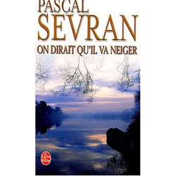 Journal tome 3 : On dirait qu'il va neiger