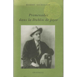 Promenades dans la Dublin de Joyce