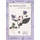 La bourrache: Une étoile au jardin