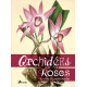 Orchidées roses et autres fleurs fascinantes