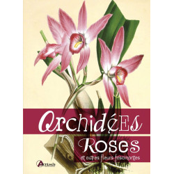 Orchidées roses et autres fleurs fascinantes