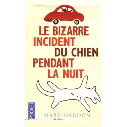 Le bizarre incident du chien pendant la nuit