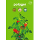Potager: Comment poussent les tomates