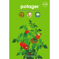 Potager: Comment poussent les tomates