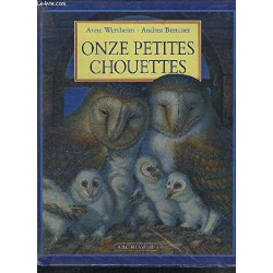 onze petites chouettes