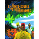 Des chauves-souris des singes et des hommes