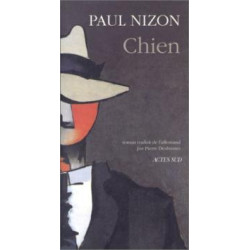 Chien- confessions de midi