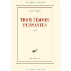 Trois femmes puissantes - Prix Goncourt 2009