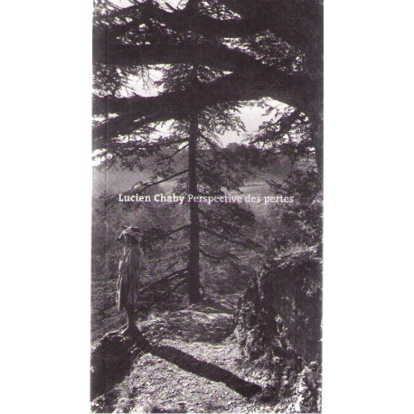 Perspective des pertes