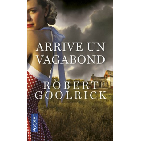 Arrive un vagabond