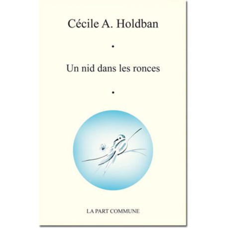 Un nid dans les ronces