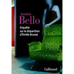 Enquête sur la disparition d'Emilie Brunet