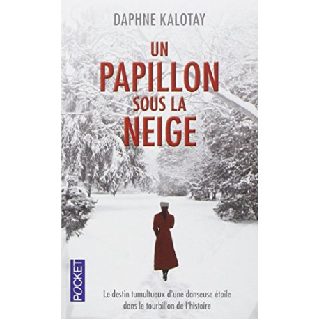 Un papillon sous la neige