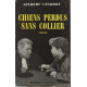 Chiens perdus sans collier
