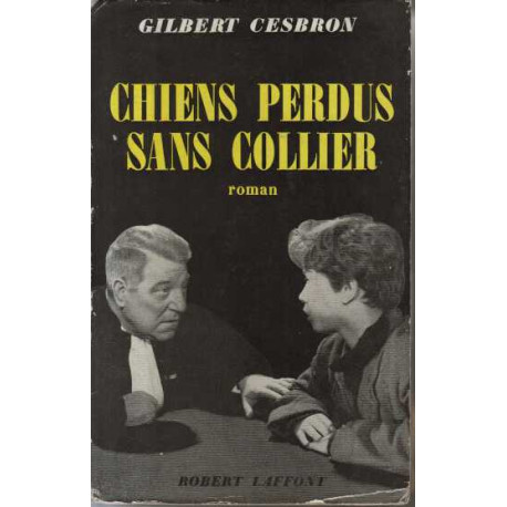 Chiens perdus sans collier