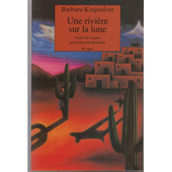 Une rivière sur la lune