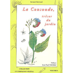 La Consoude Tresor Du Jardin