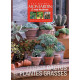 Cultiver cactus et plantes grasses