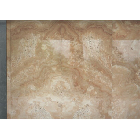 The villa of the Tugendhats in Brno