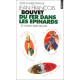 Du fer dans les epinards