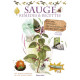 Sauge remedes et recettes