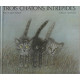 Trois Chatons Intrepides