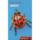 Insecte