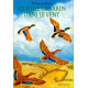 Quatre canards dans le vent