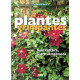 Les Plantes grimpantes