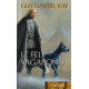 Le Feu Vagabond