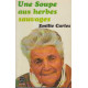 Une Soupe aux herbes sauvages
